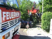 20080511_baum_1.jpg