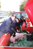20090926_schweinefang_img_4595x